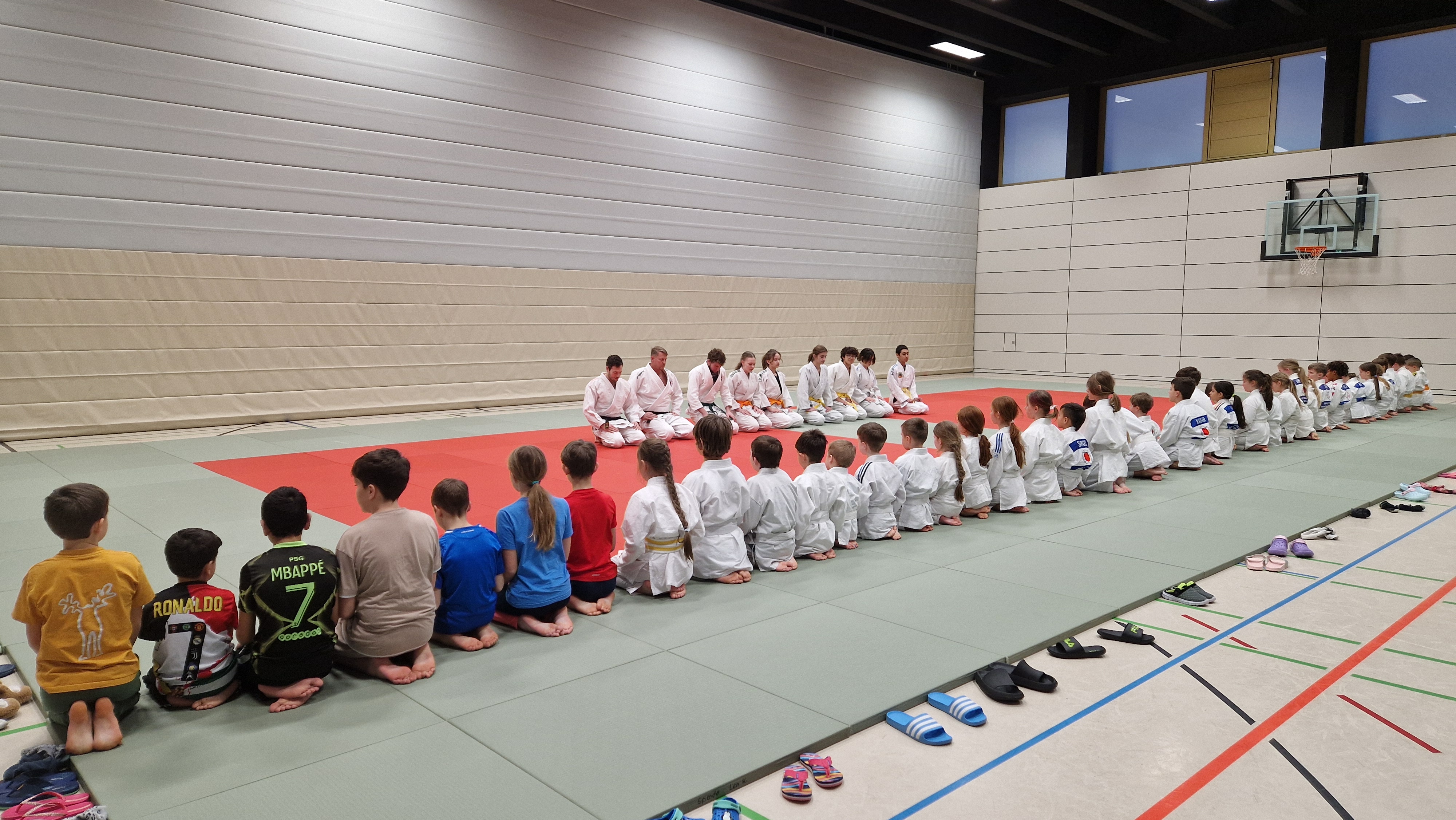 Brazilian Jiu-Jitsu: Probetraining nach den Sommerferien